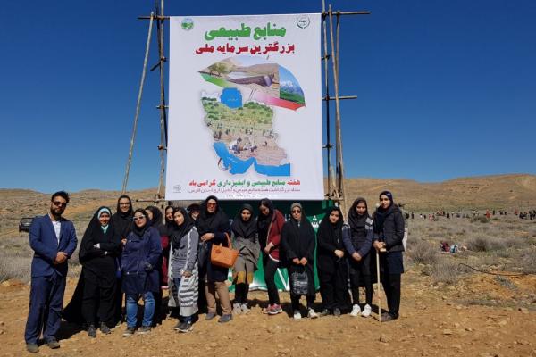 درخت کاری1397