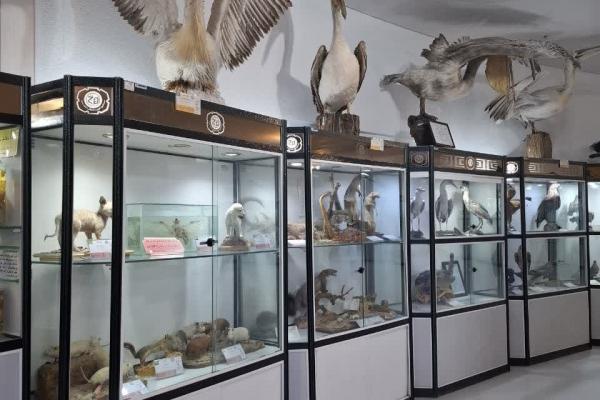 بازدید از موزه تاریخ طبیعی 1404