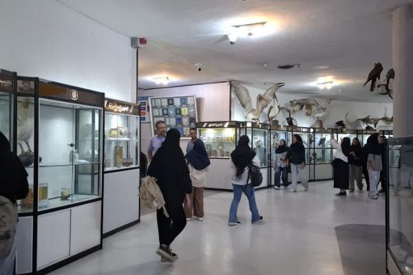 بازدید از موزه تاریخ طبیعی 1404